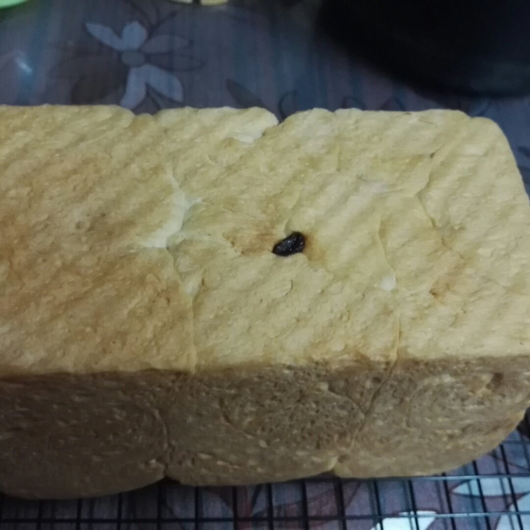 夺命软吐司(๑´ڡ`๑)超软拉丝极速方便的一次发酵吐司