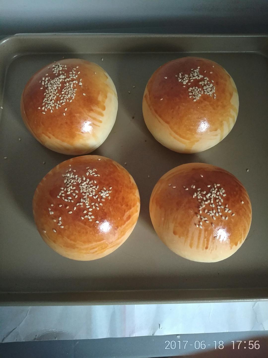 汉堡胚（中种法）