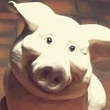 吃个小孩坠吼了