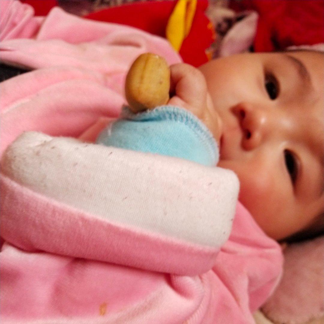 6个月以上的磨牙棒