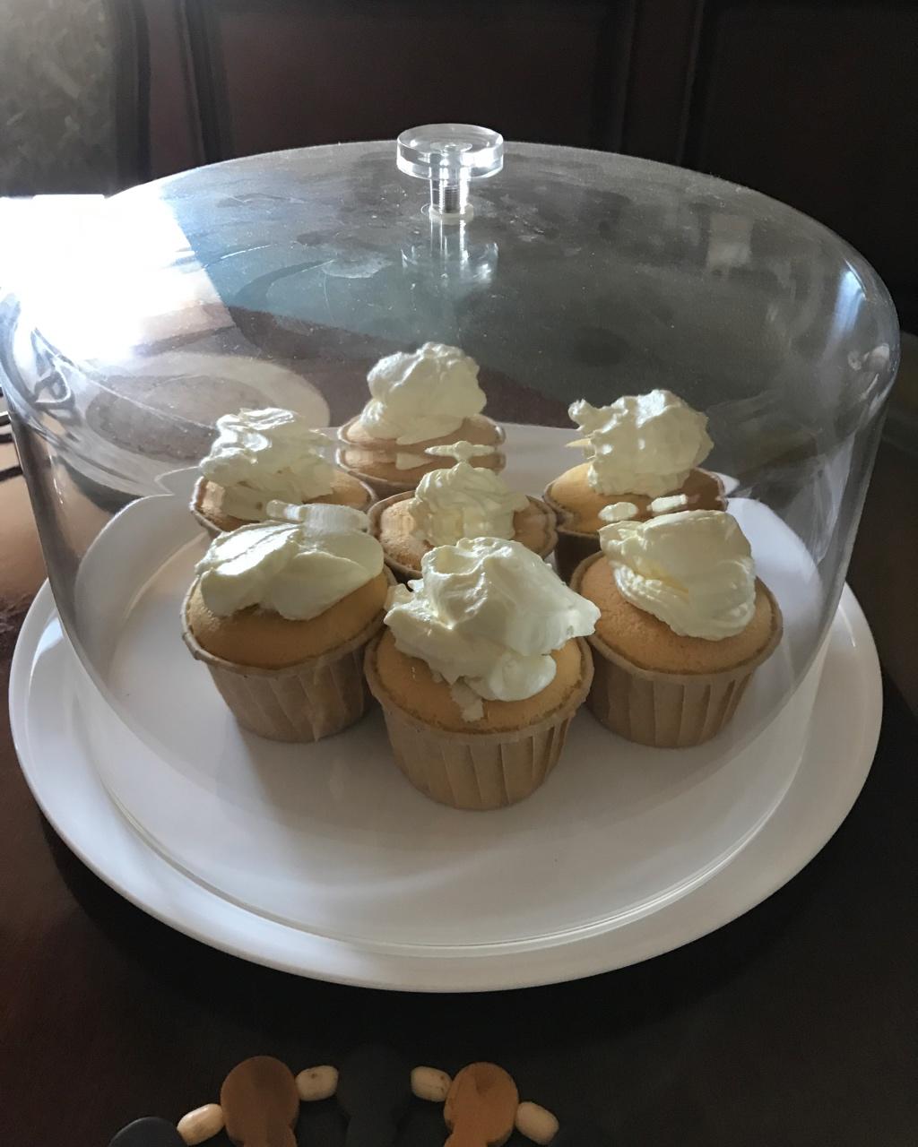 不回缩杯子蛋糕cupcake