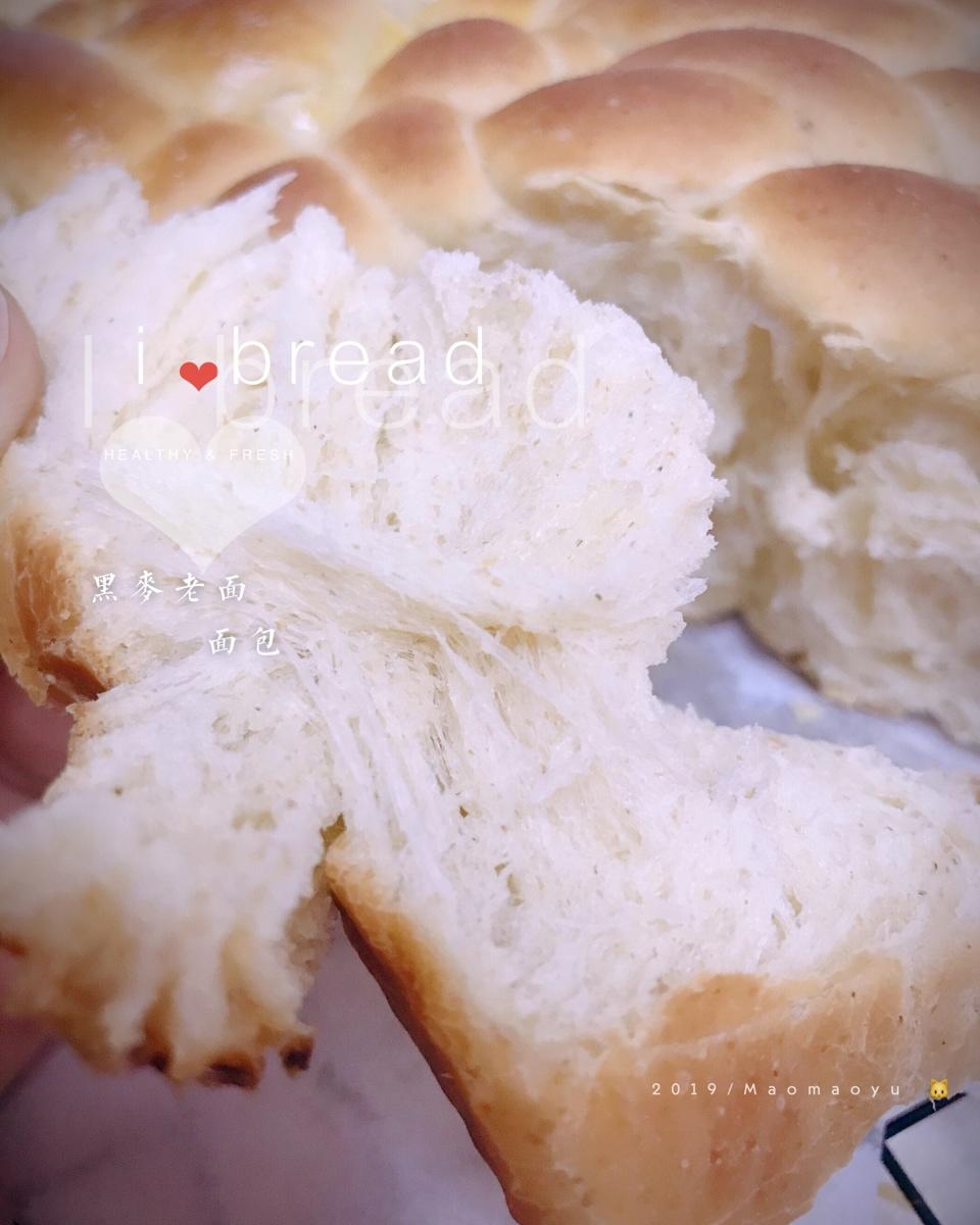 老面包（爱和自由）