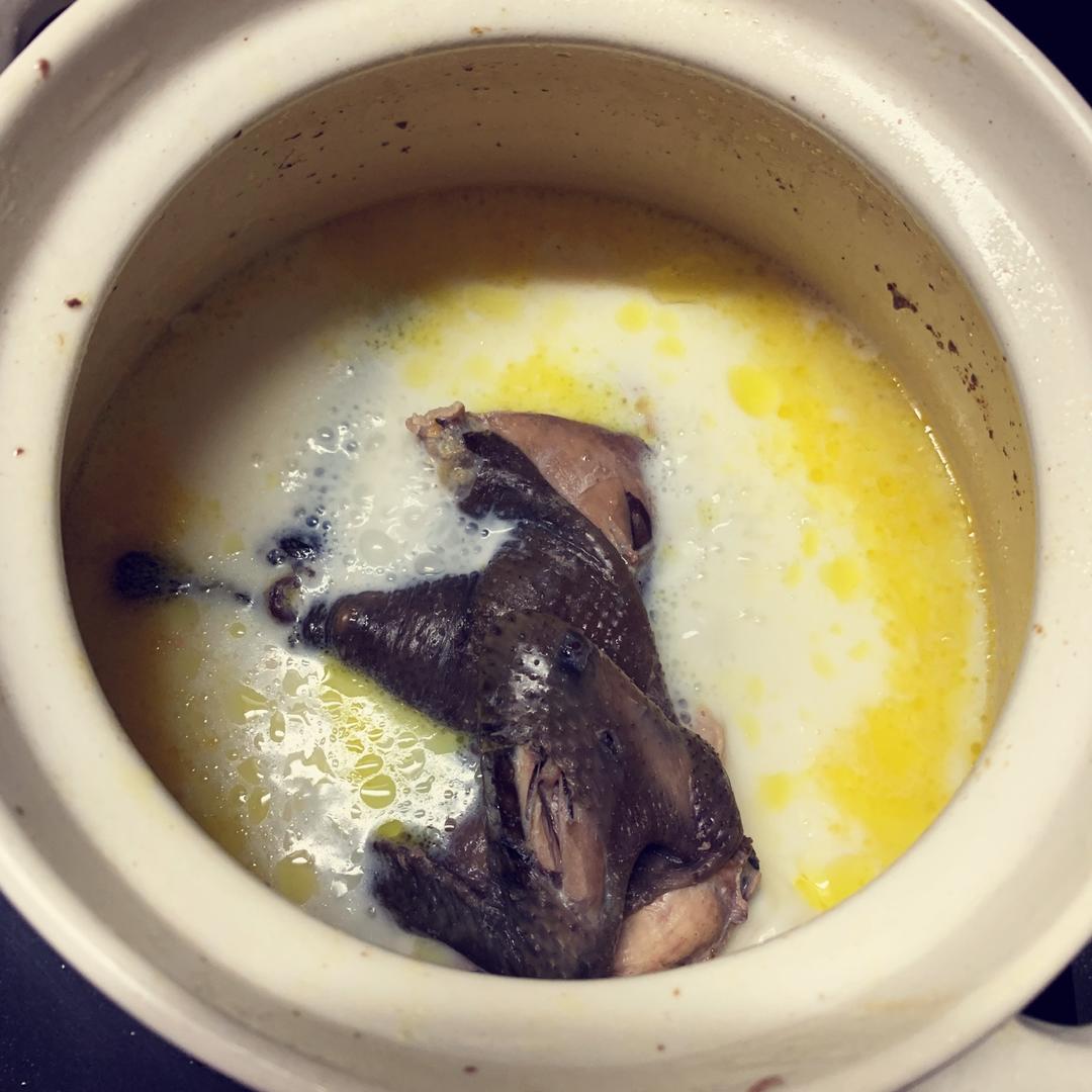 牛奶炖乌鸡