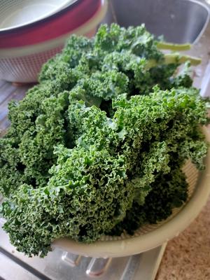 Kale(羽衣甘蓝)完美取代荠菜，三种超好吃的做法的做法 步骤1