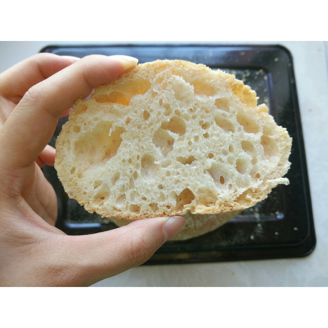 欧包/乡村面包-无油不用揉 No Knead Bread