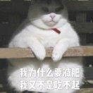 小番茄爱吃鱼