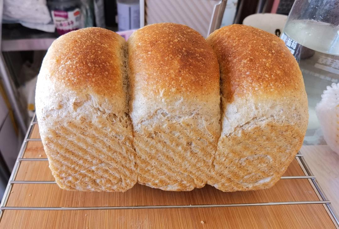 双种芝麻全麦吐司 100%全麦 烫种+波兰种