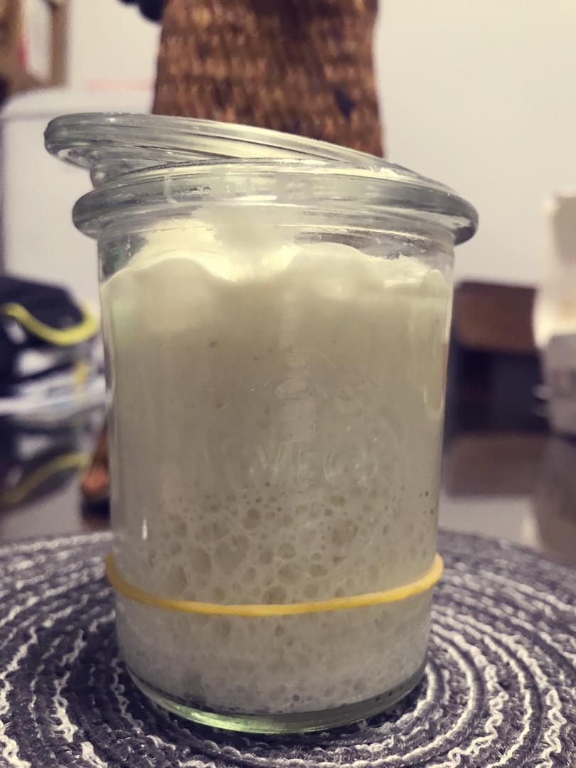 ---直播---养天然酵种-后续喂养＆储存