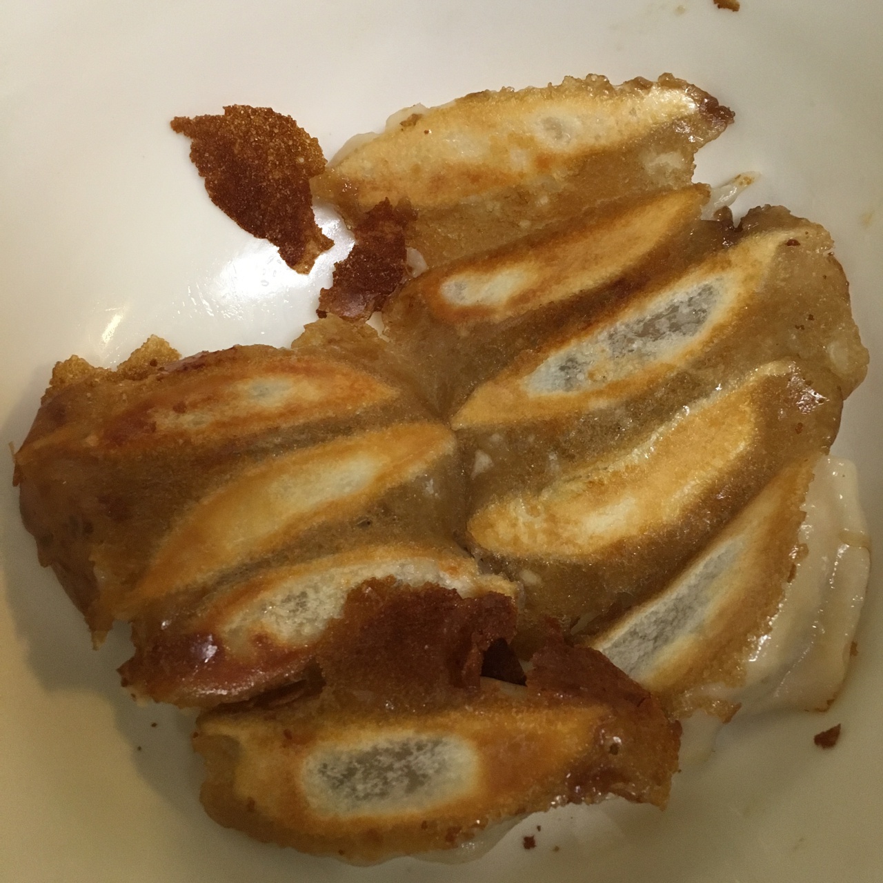 剩饺子速冻饺子变锅贴（冰花版）