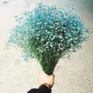 香蕉牛奶苹果