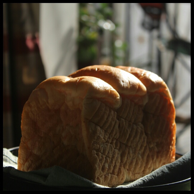 默默做，默默拍，默默秀