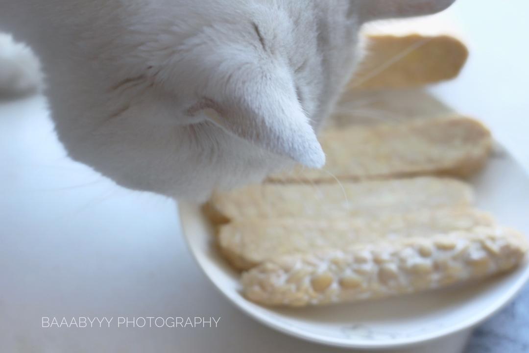 自制黄豆天贝丨发酵·豆类