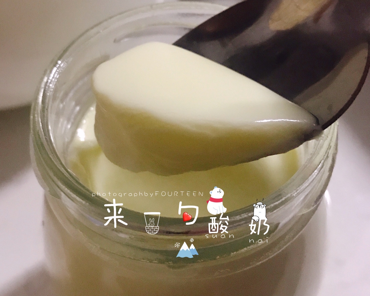自制酸奶（A2全脂奶粉）