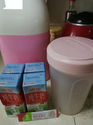 自制手工原味酸奶的做法 步骤1