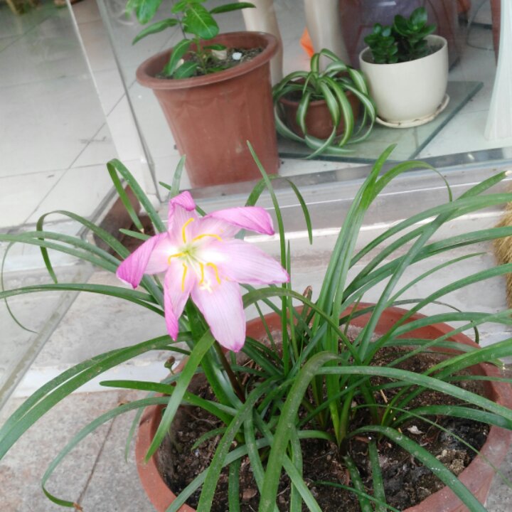 手机用户6168_v79k