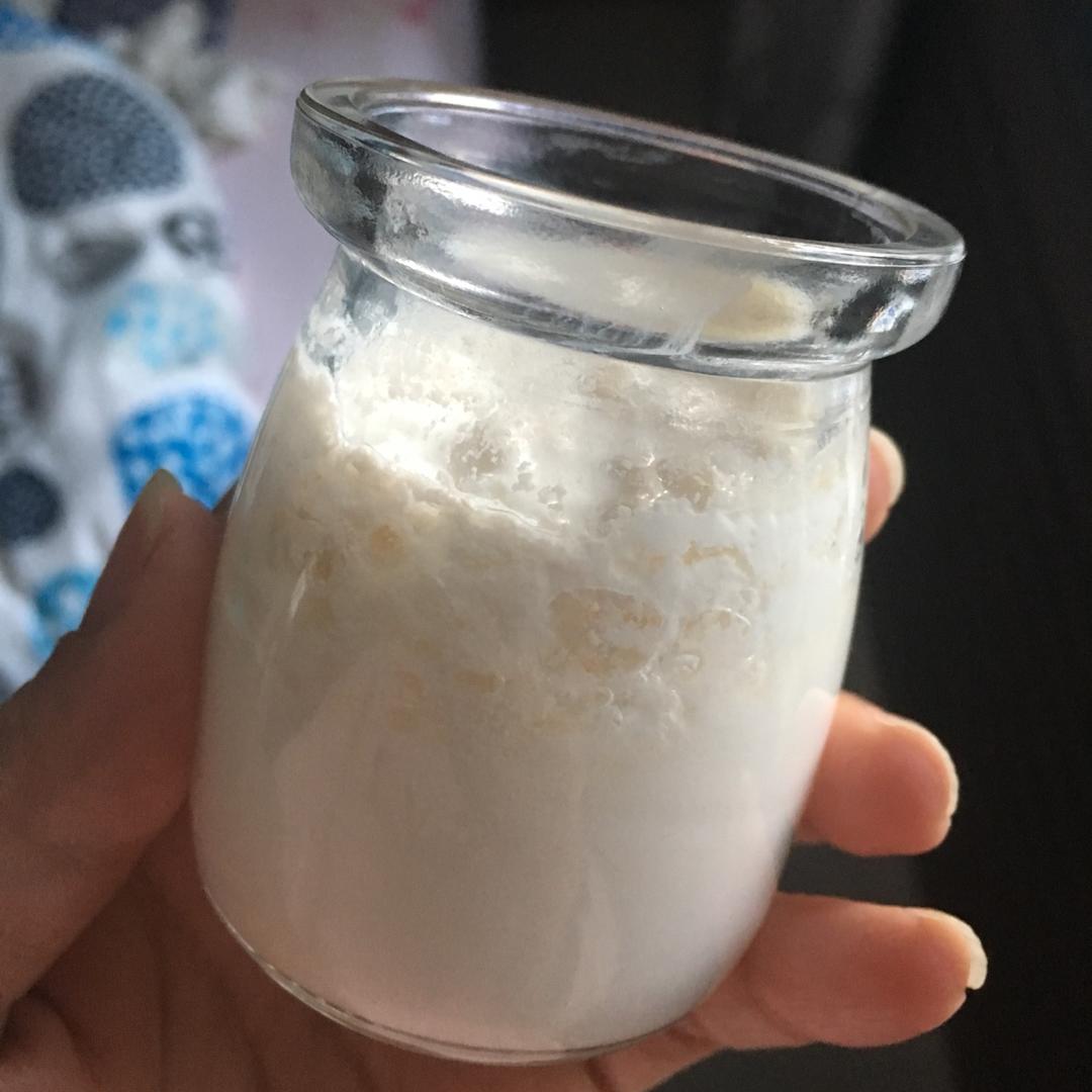 开菲尔酸奶喂养详攻略（milk kefir）丨发酵·奶类