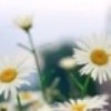 上弦月-56