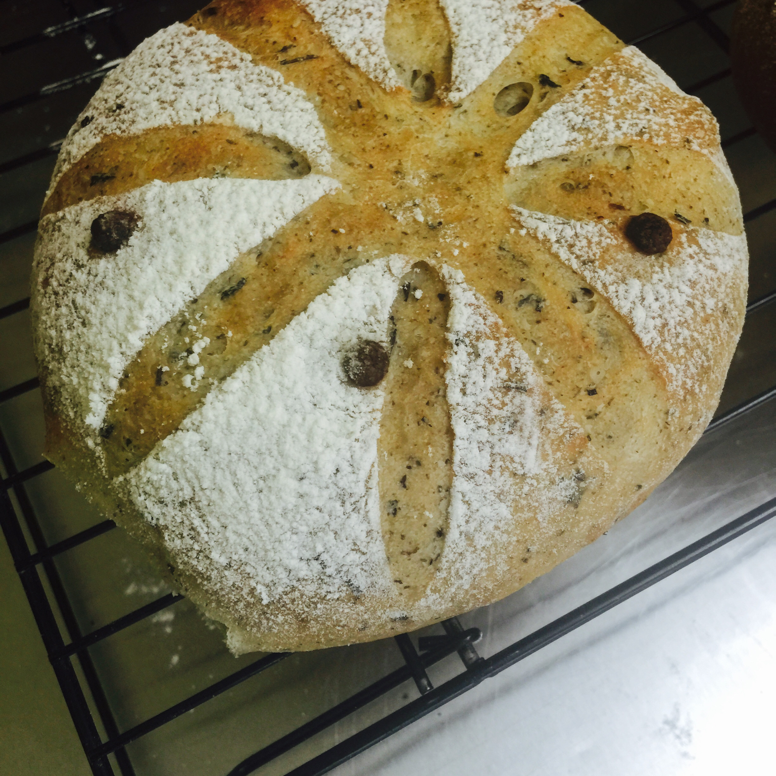 巧克力蔓越莓软欧包