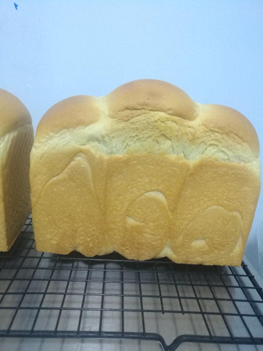 北海道吐司--100%中种