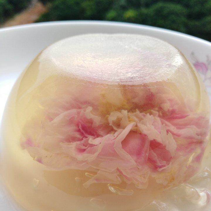 凉粉樱花果冻