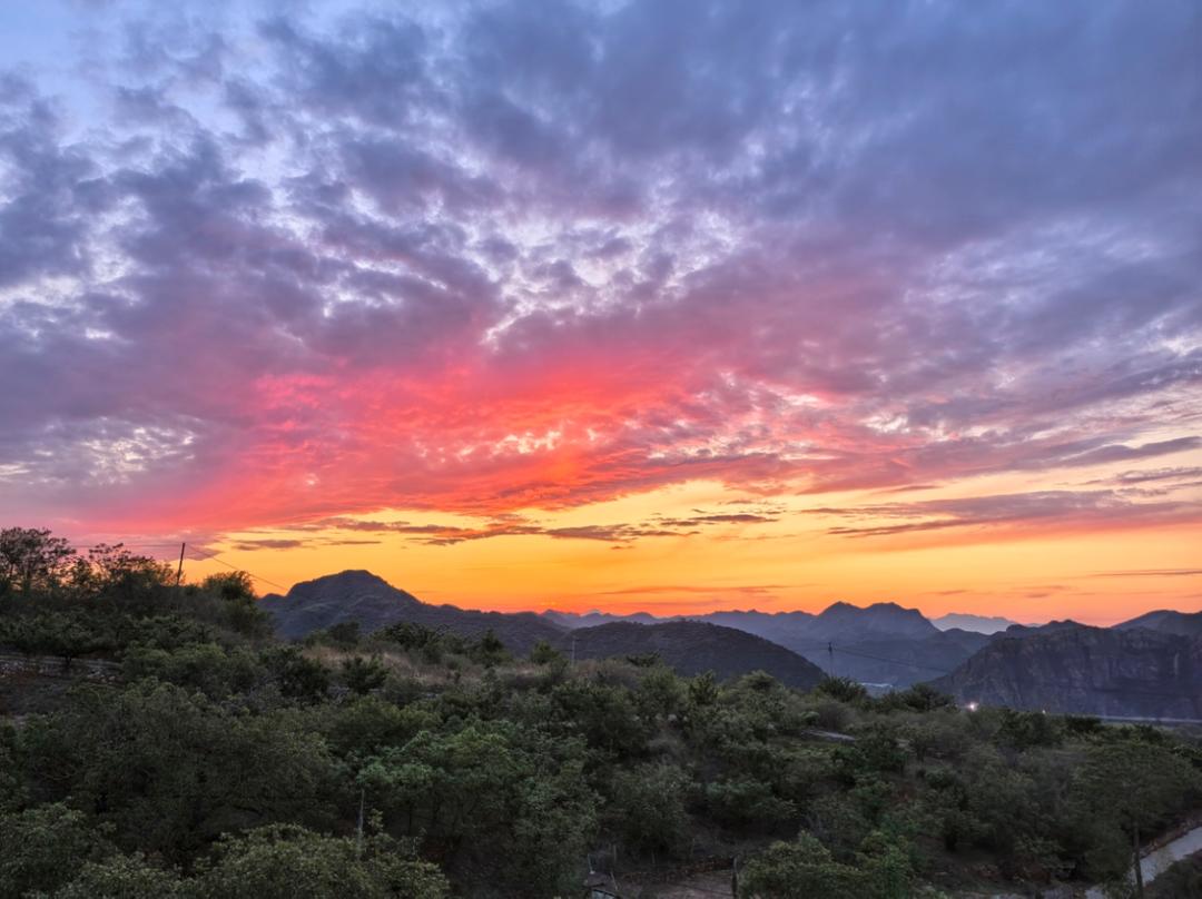 希望你的就是快递_0fws