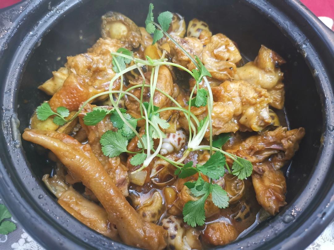 鲍鱼花螺炆鸡
