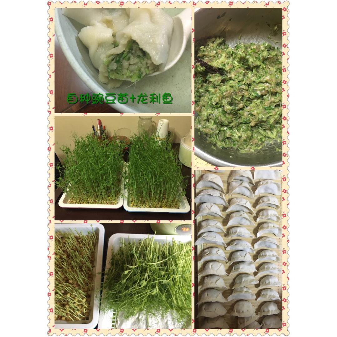 清炒豌豆苗