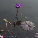 手机用户8199_ld1t