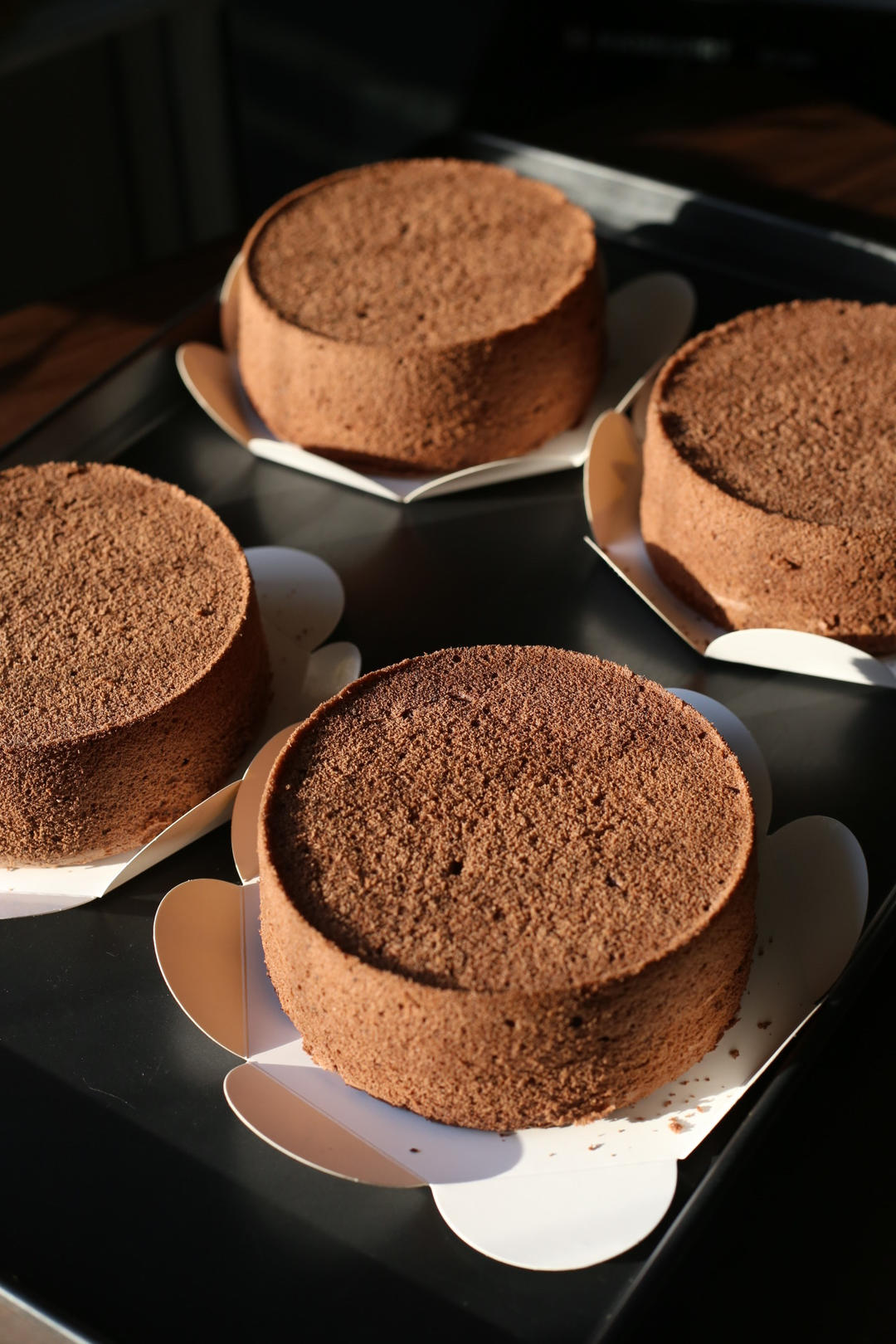 可可戚风蛋糕（八寸）
