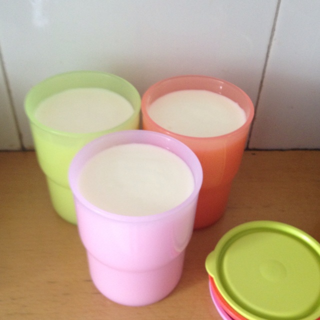 小熊酸奶机自制酸奶