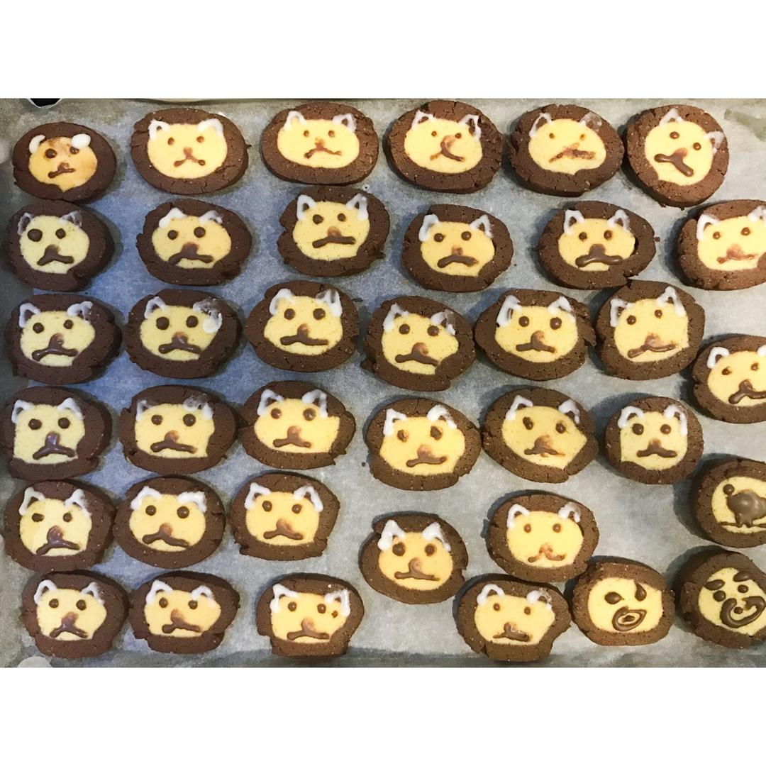 萌哭了的可可狮子饼干