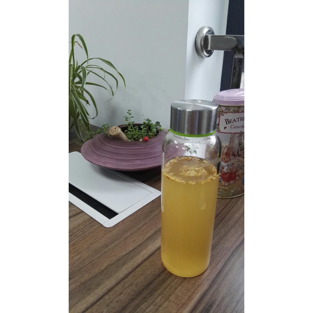 水开菲尔汽水丨喂养篇