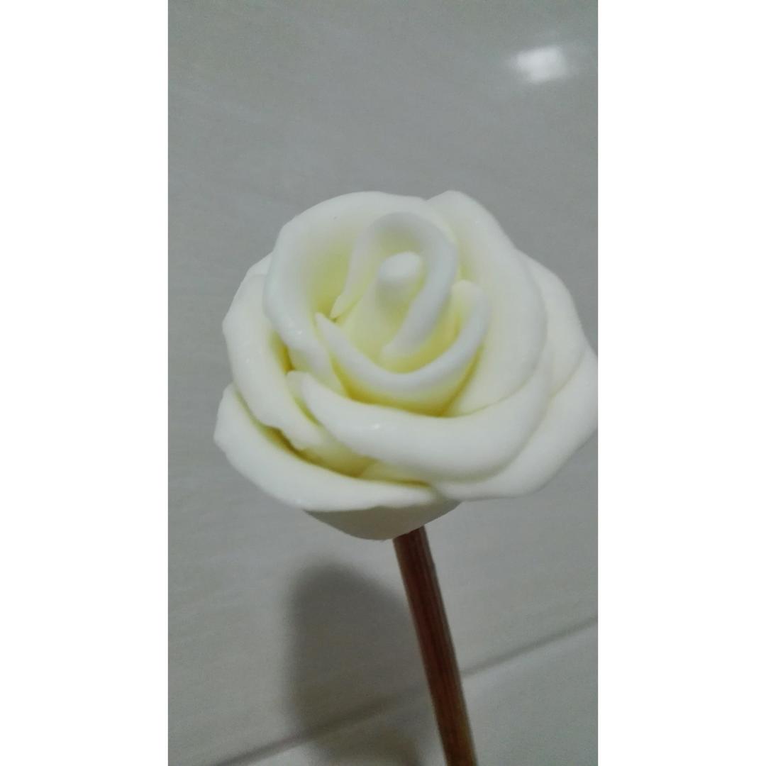 美丽的巧克力花