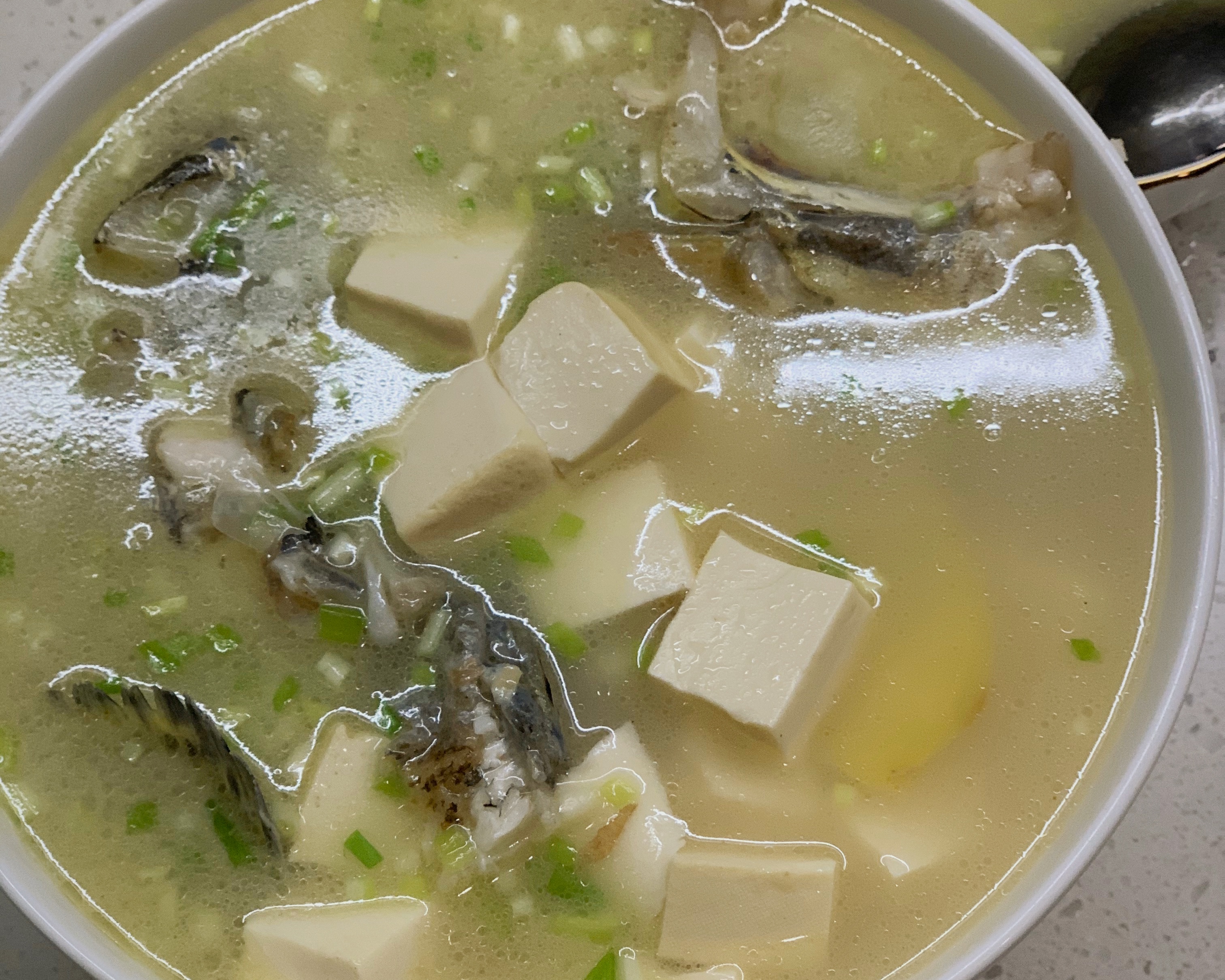 桂鱼豆腐汤的做法