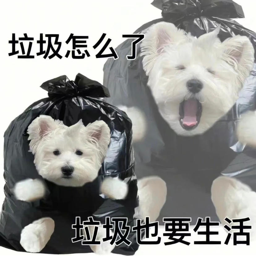 天生厨神ovo