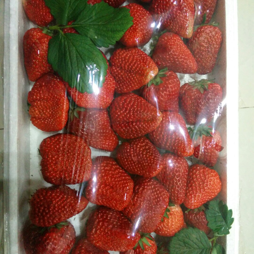 草莓🍓酱+吐司面包🍞