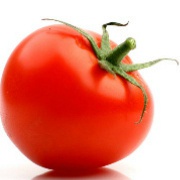 又胖又圆的红蕃茄