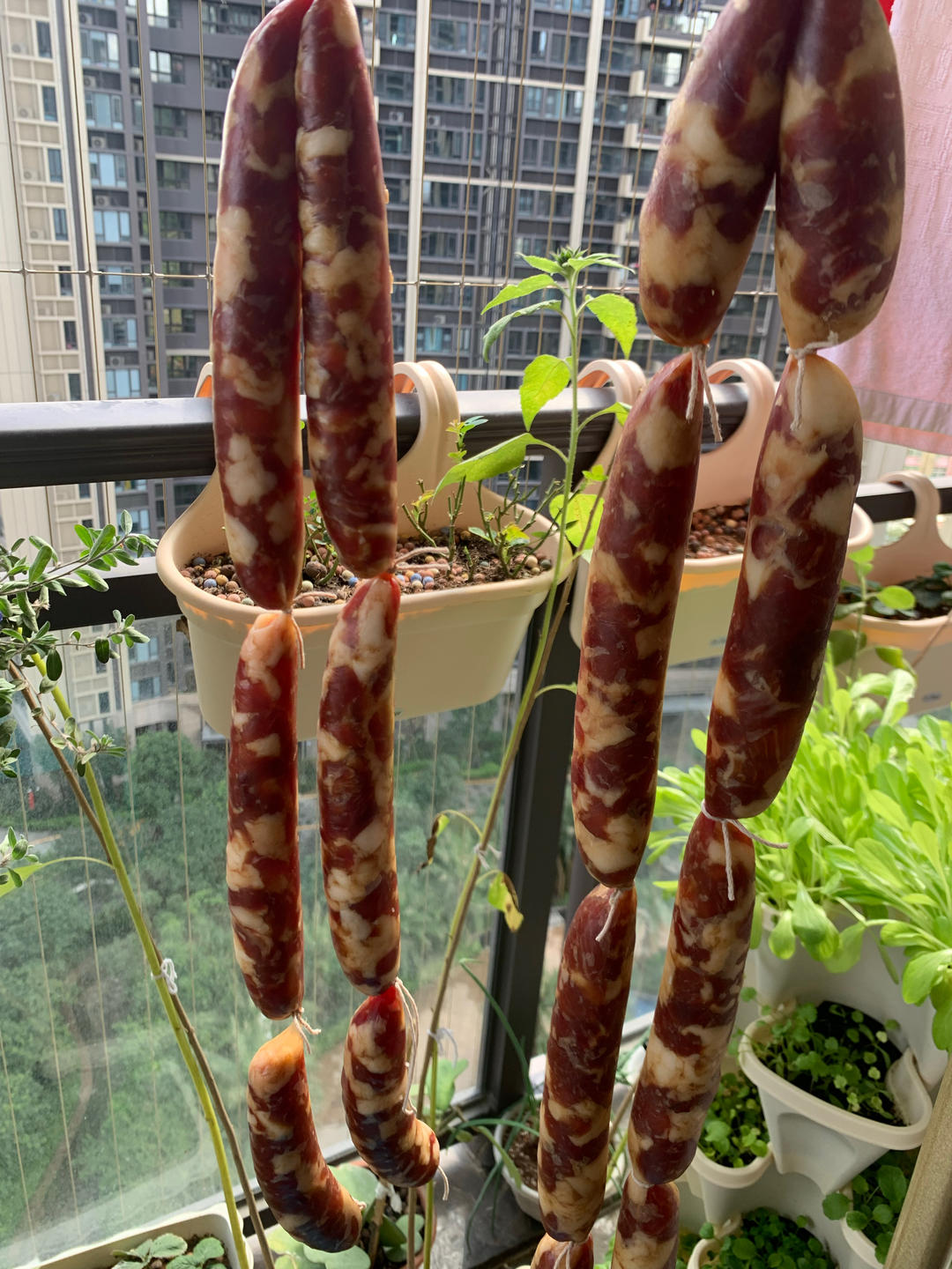 广式腊肠（附制作肠衣视频）