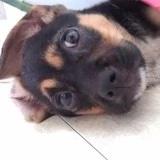 公子无痕逆风行