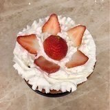 香樟树林