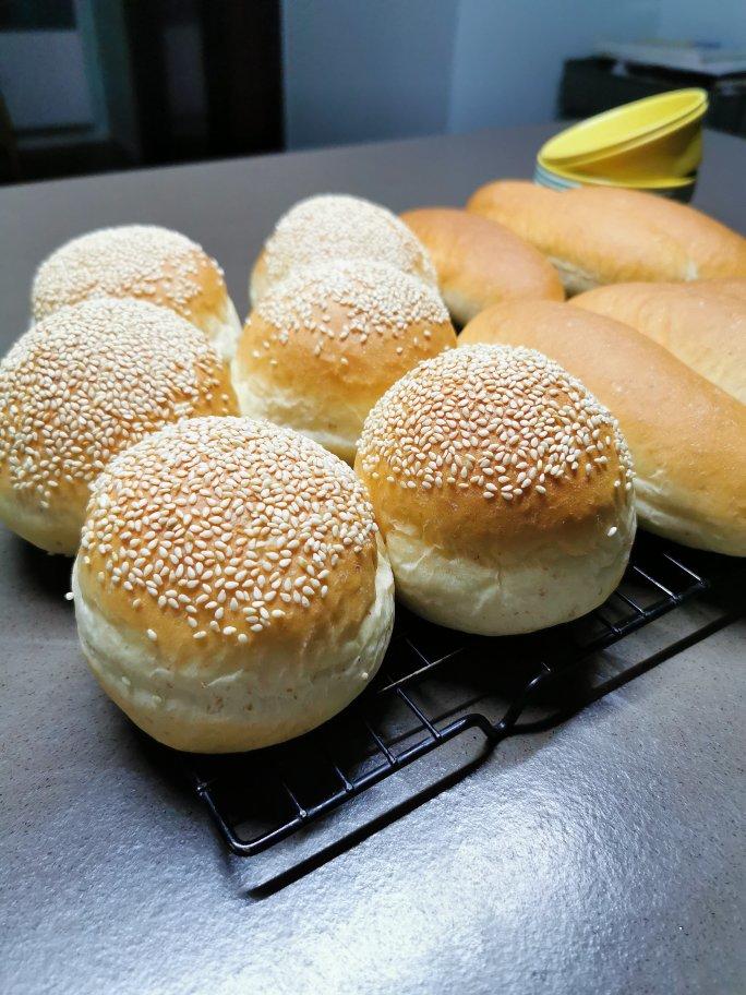 汉堡面包/面坯（波兰种）