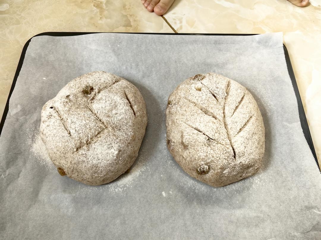 全麦蔓越莓核桃软欧包