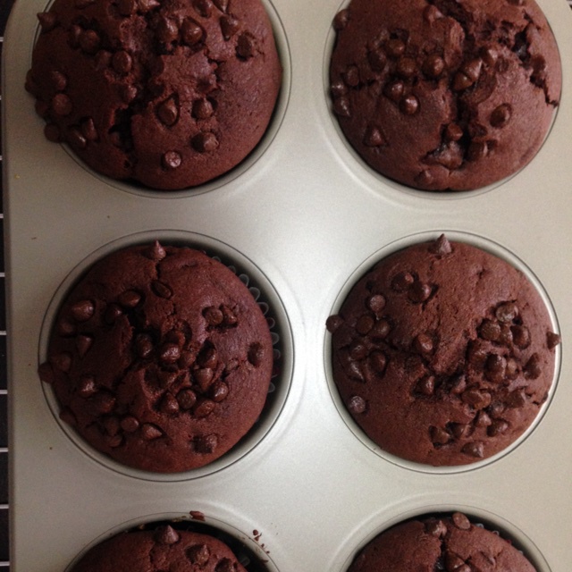 巧克力蘑菇头 双巧马芬