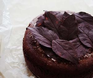 落叶古典巧克力蛋糕——好吃到让人尖叫（附巧克力叶子的做法）的做法 步骤13