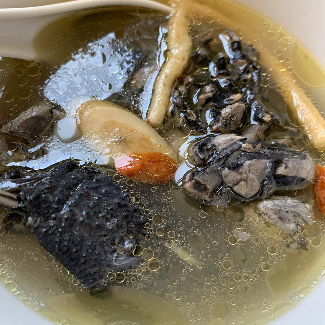 在人间吃饭的日子做的当归黄芪党参炖乌鸡汤