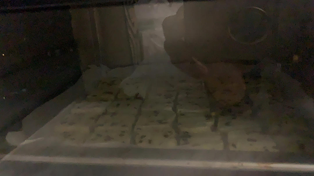 低糖少油版蔓越莓饼干