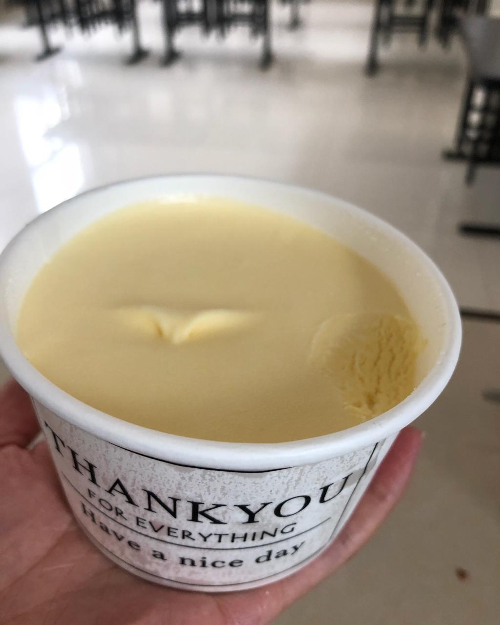 朗姆黑加仑冰淇淋 Rum Raisin Ice cream