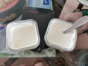 北海牧场浓稠型特浓酸奶超级简单自制版本的做法 步骤5