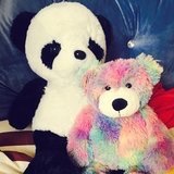 喵酱Luna