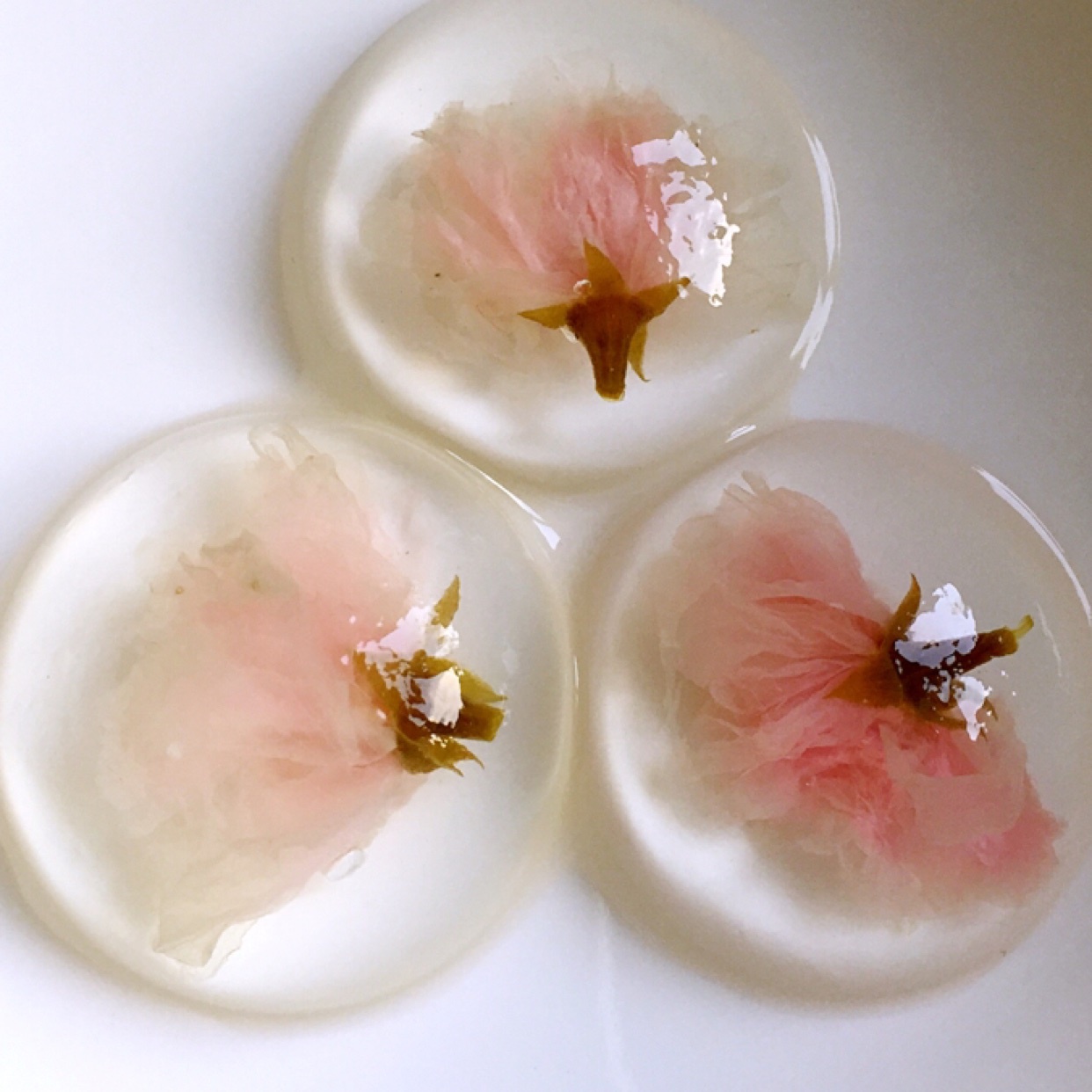 julie-莫卡做的樱花果冻